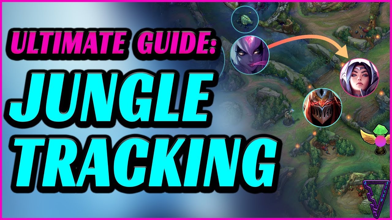 Ultimate Jungle Tracking Guide For All Roles (Track The Enemy Jungle)