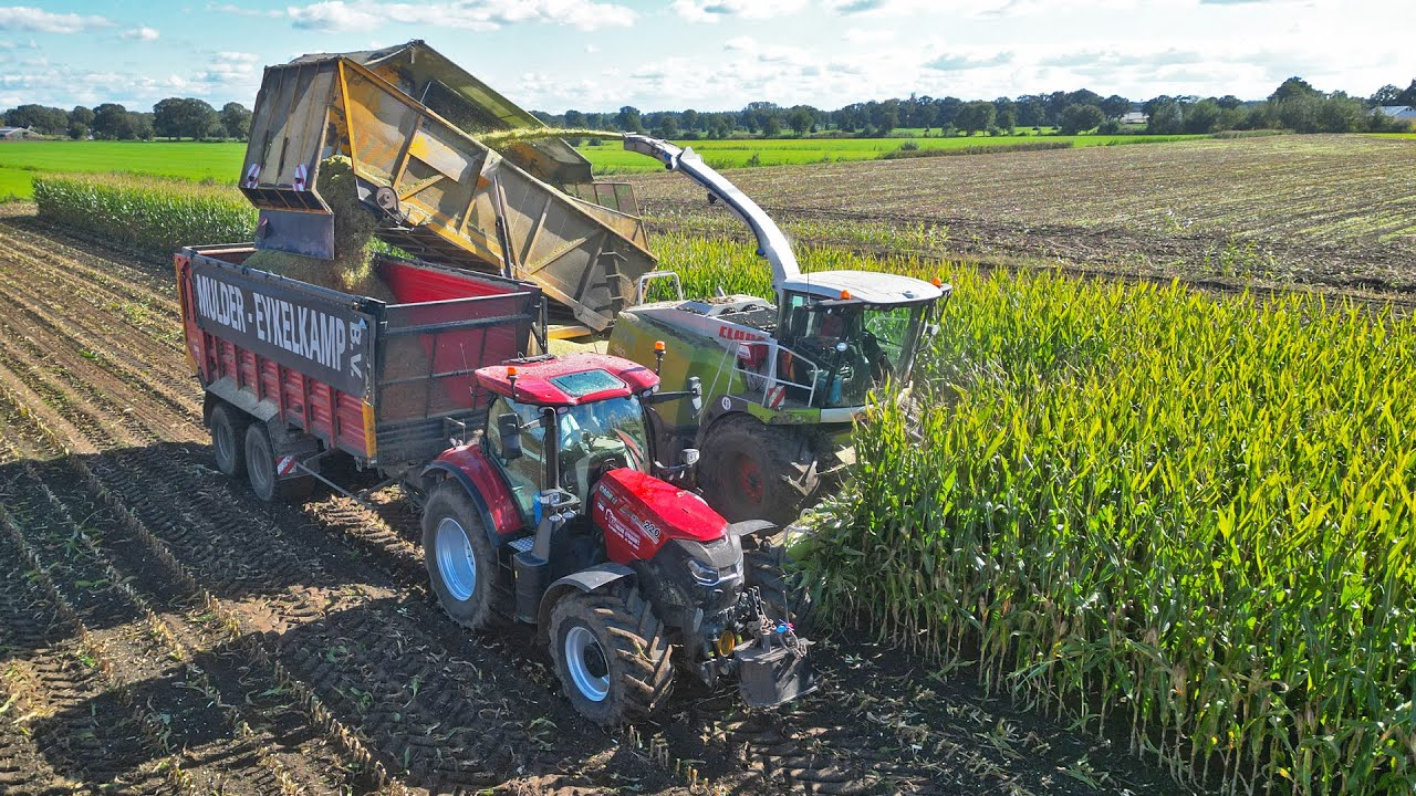 Mais Silage | Claas Jaguar 940 Bunkerhakselaar + Case IH + Fendt | Mulder-Eykelkamp | 2024