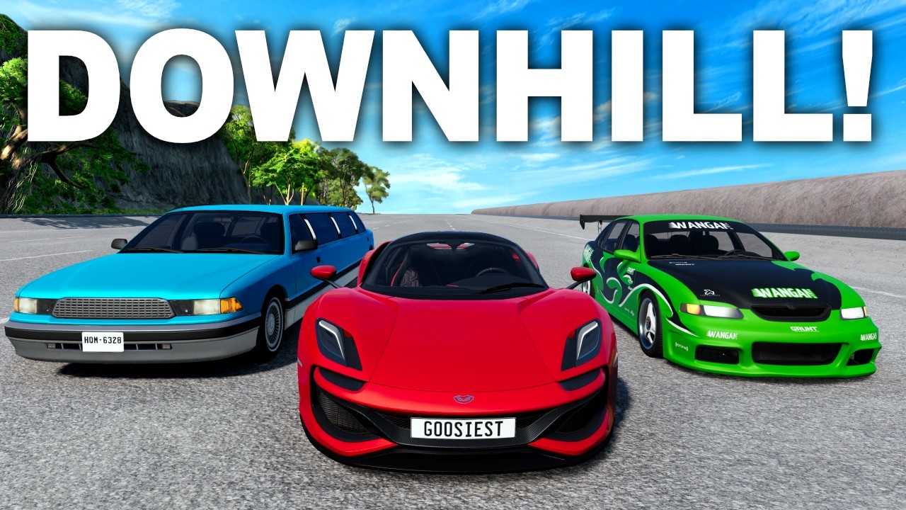 DOWNHILL RACING IS TOO MUCH FUN!
