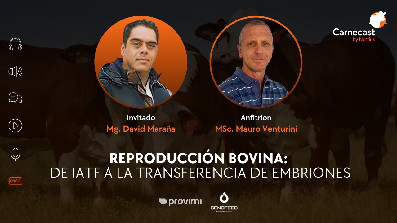 #32 - Reproducción bovina: de IATF a la transferencia de embriones.