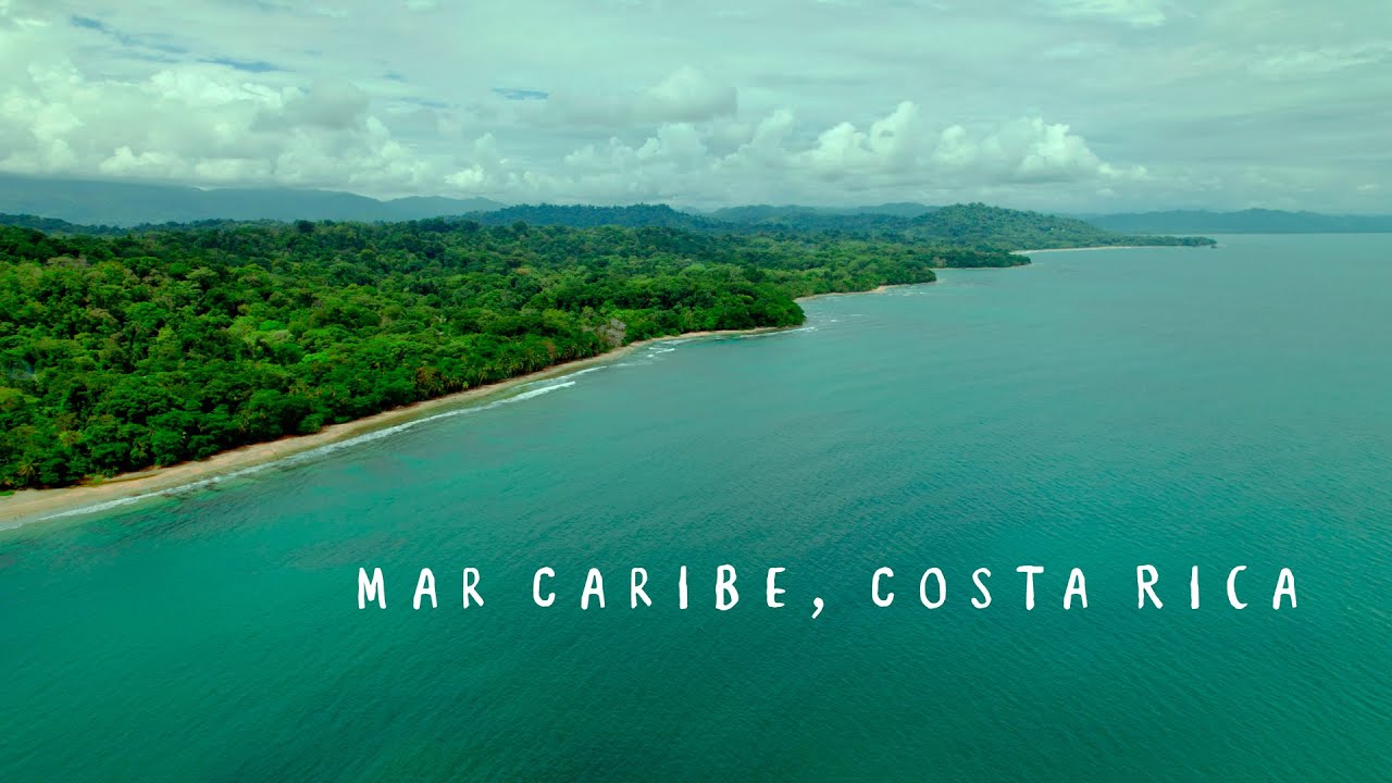 Playas del Caribe Costa Rica 4K Puerto Viejo como Nunca lo Has Visto 🏝️🌿 | Cinematic Drone Video 4k