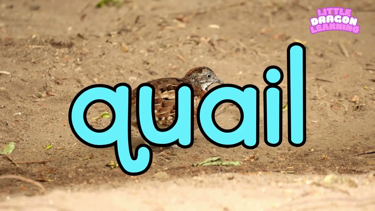 Phonics - Word Families: -ail