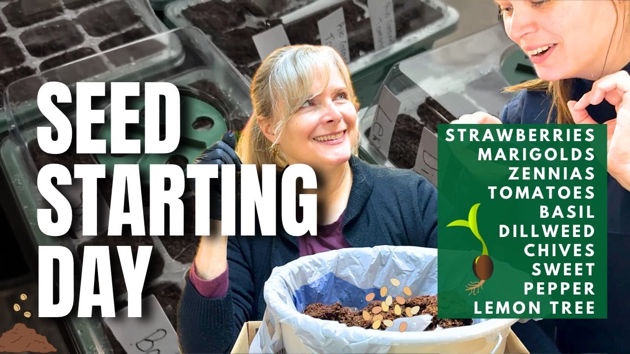 Seed Starting Day
