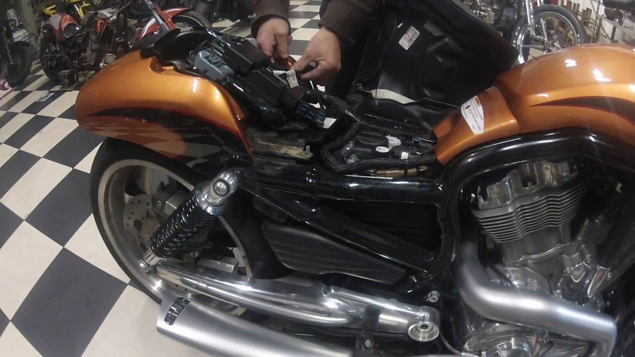 V-Rod Muscle/Night  Rod Special removable backrest by Cabeça de Ferro
