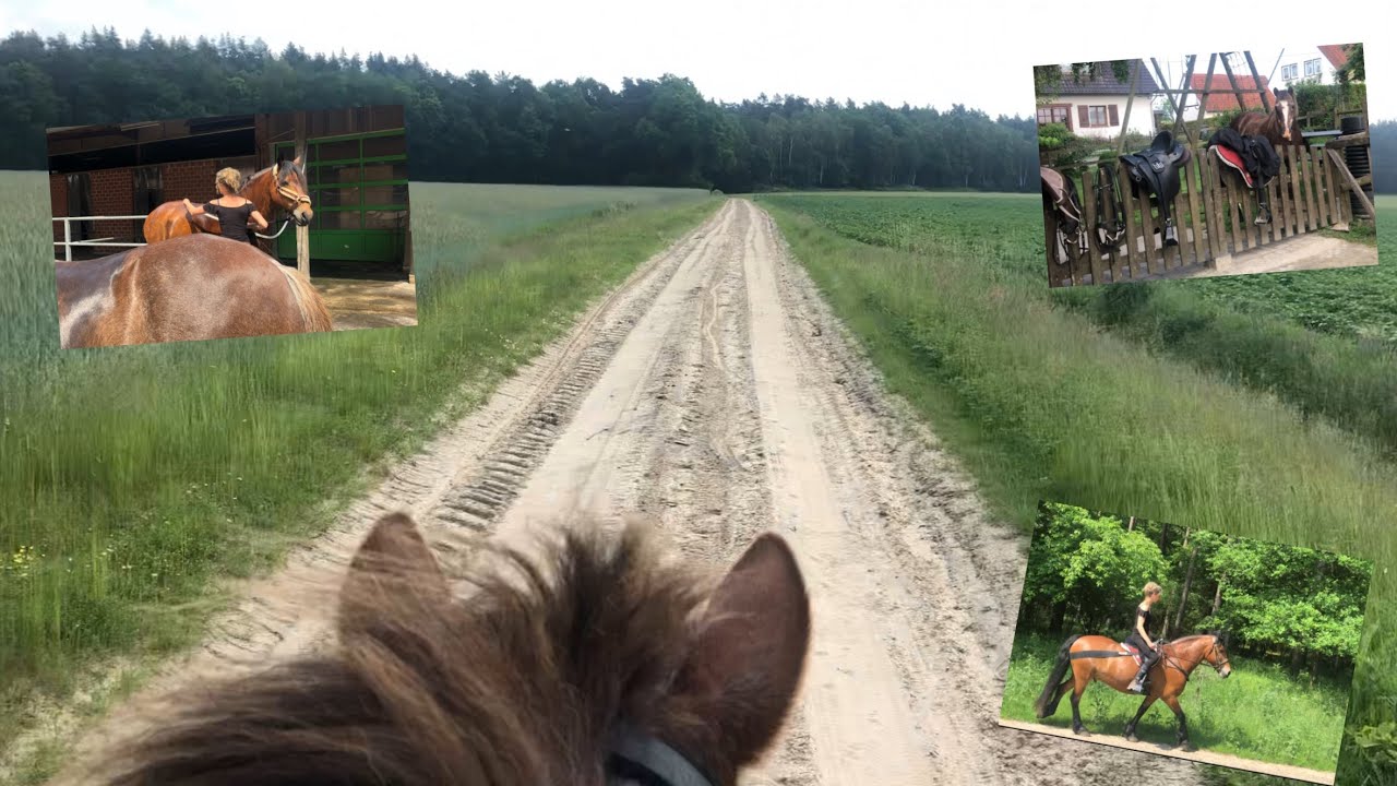 Urlaubsfeeling 🏝 Sandwege ohne Ende 😍// Tagesausflug zum Reitstall Lucas 🐴