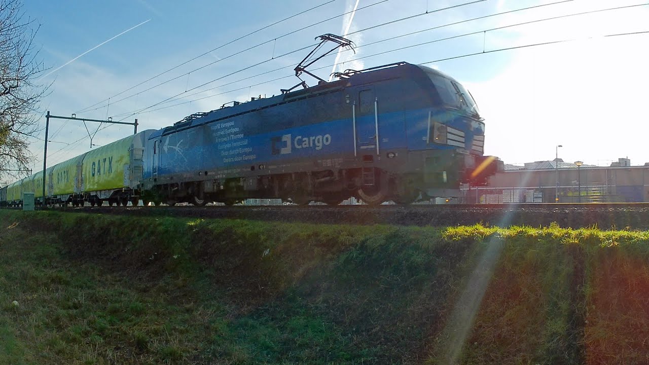 Tyfoongeschal in Bunnik (16 en 17 januari 2026)
