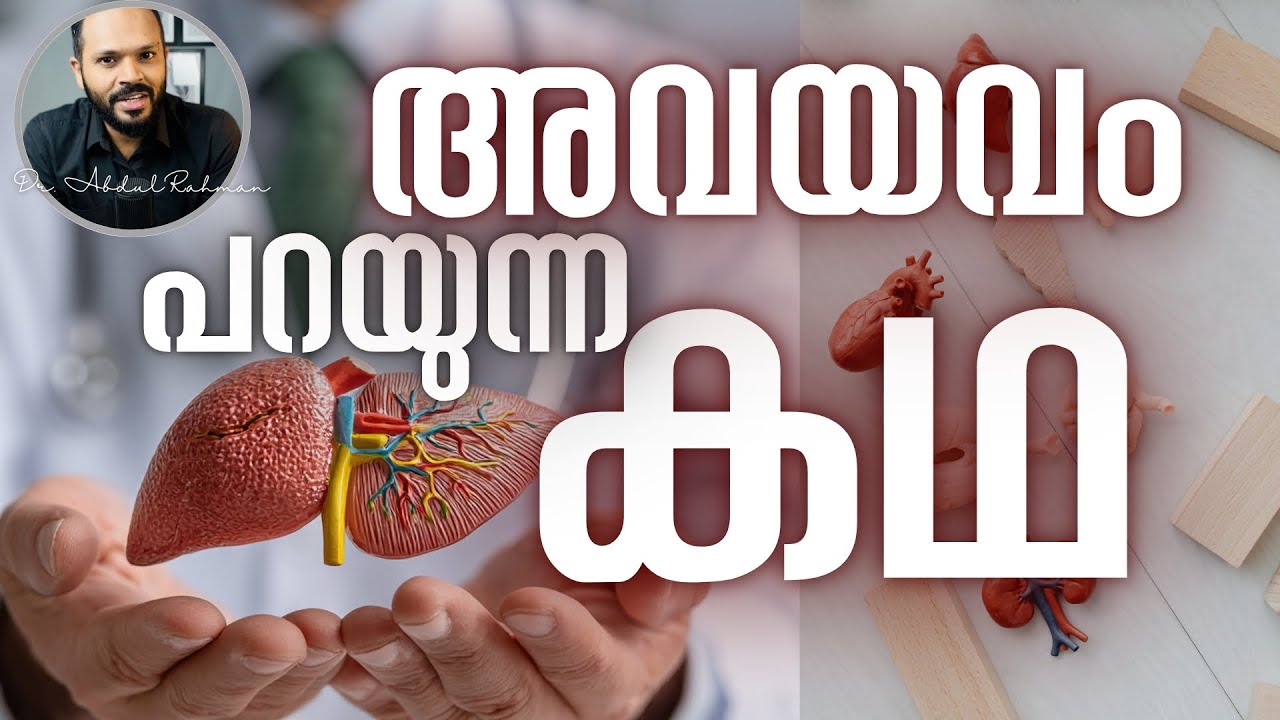 Story of liver, pancreas and blood.