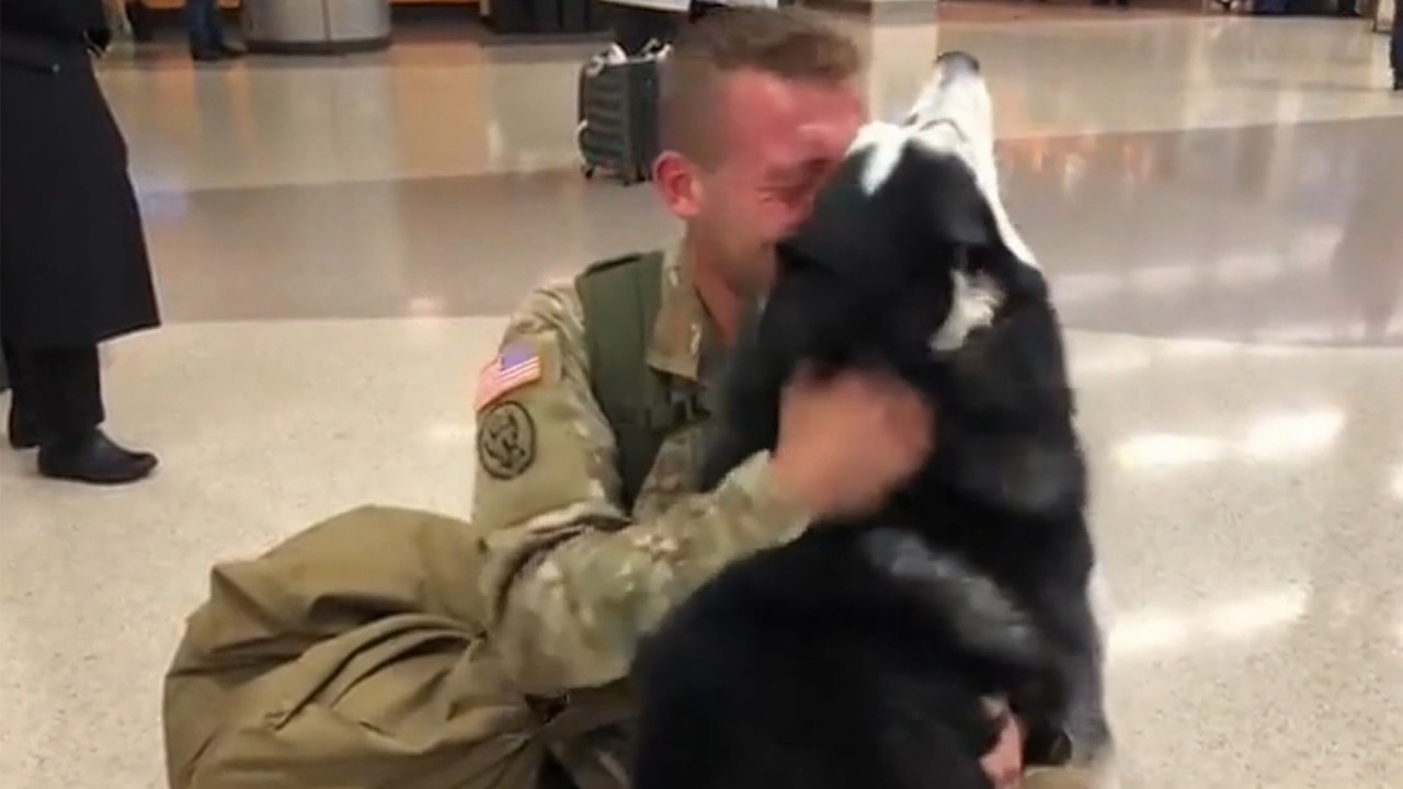 He Was Gone for Years… His Dog Knew the Moment He Returned 🐱😭 #dog