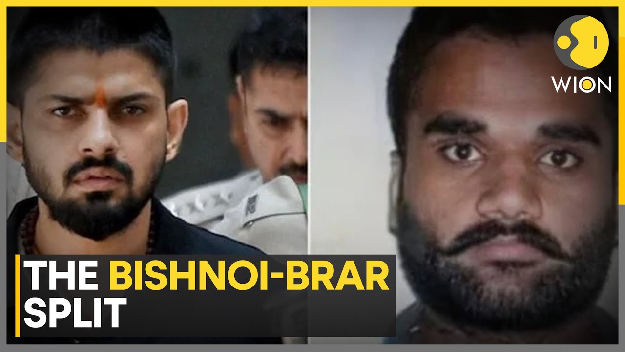 Gangster Lawrence Bishnoi And Goldy Brar Part Ways | WION