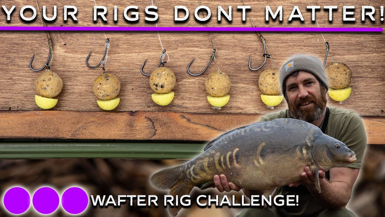 Do Carp Rigs Matter? The Wafter Rig Challenge!