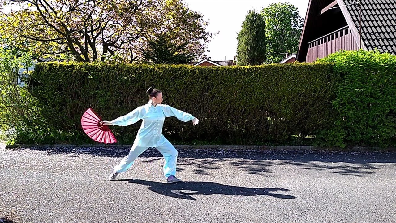 02/05/2020 Tai Chi Kung Fu Fan Form Back view