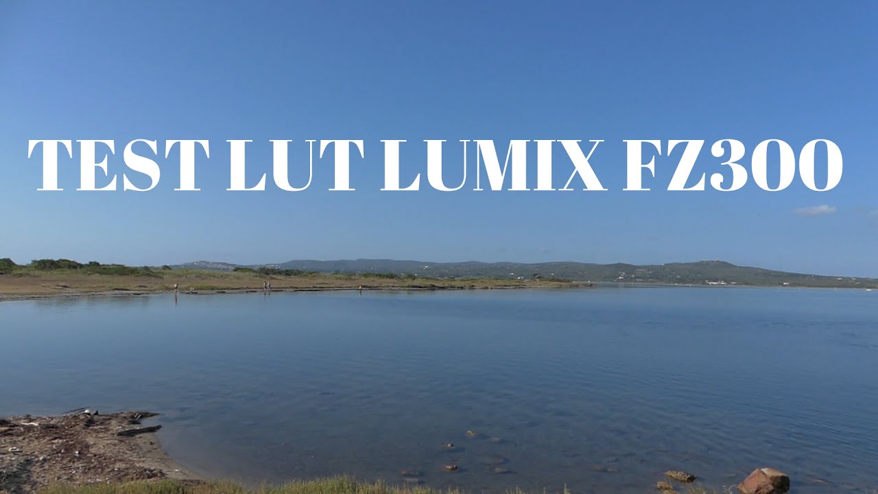 Lumix FZ300 Lut
