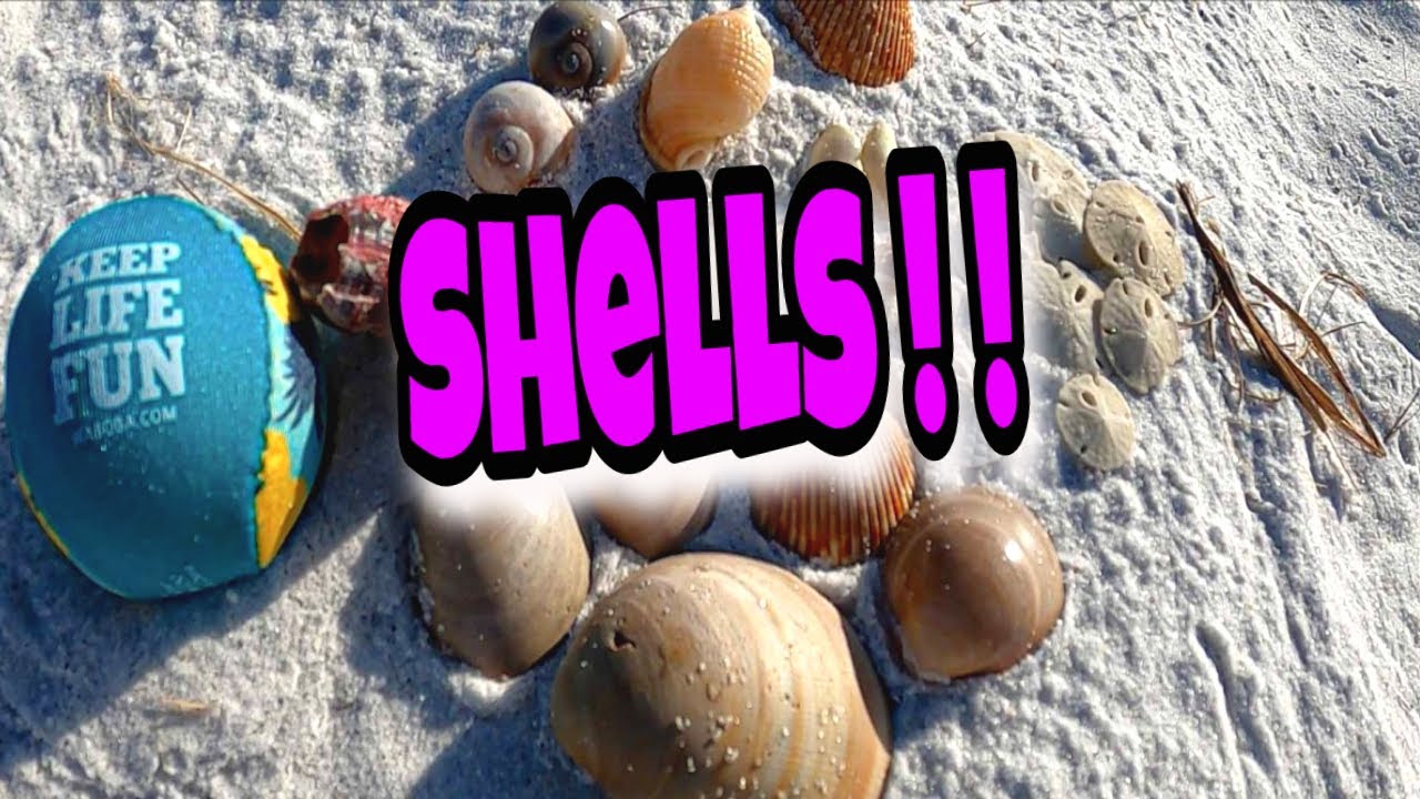 SUMMER SHELLING In Fort Walton Beach, Florida