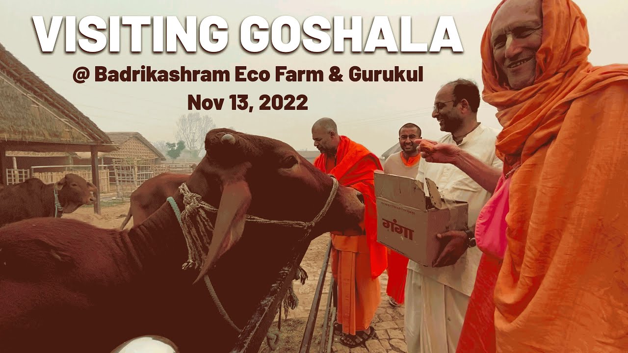 Visiting Goshala @ Badrikashram Eco Farm & Gurukul || HH Bhakti Vikasa Swami Maharaj