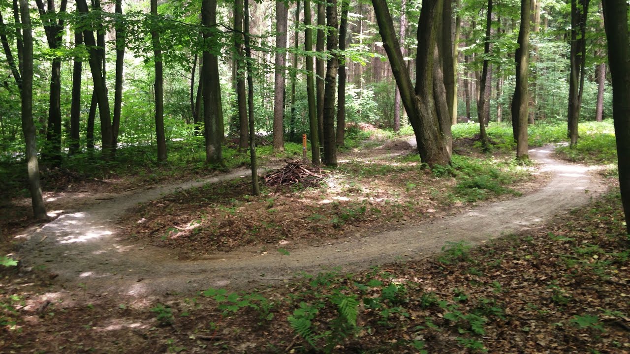 Singltrek pod Smrkem 6.10.2022 - modrý trail