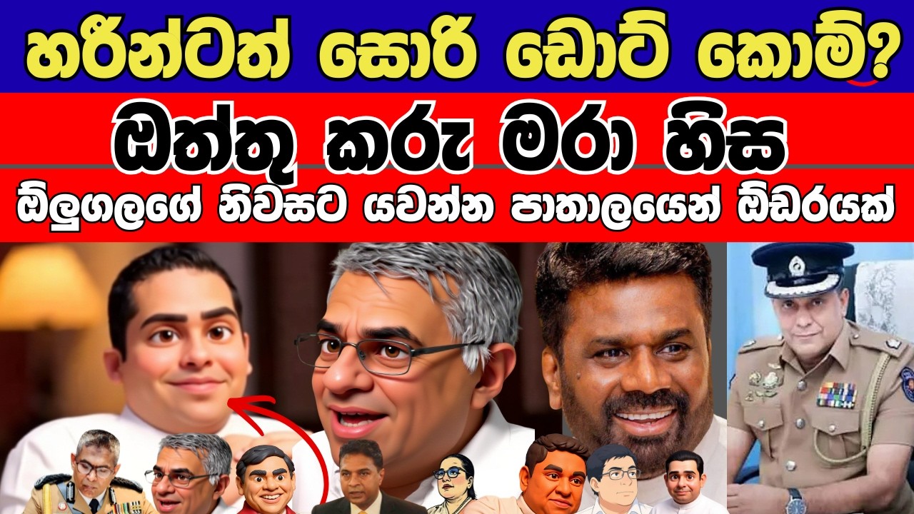හරීන්ට සොරි / ඔත්තු කරු මරා හිස ඕලුගලගේ නිවසට යවන්න පාතාලයෙන් ඕඩරයක්..