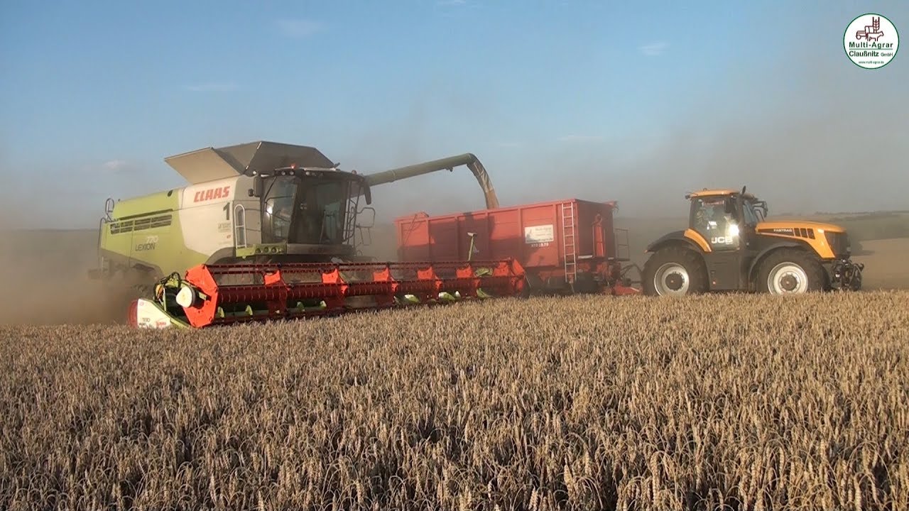 Weizen Ernte - Multi-Agrar Claußnitz GmbH - Claas Lexion 770, Fendt, JCB, Valtra, John Deere