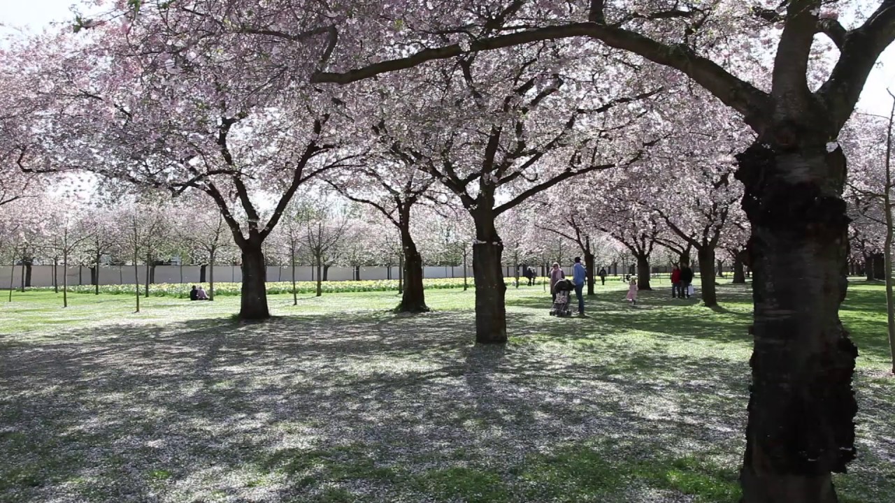 relaxing Schwetzingen Schlo&szlig;park