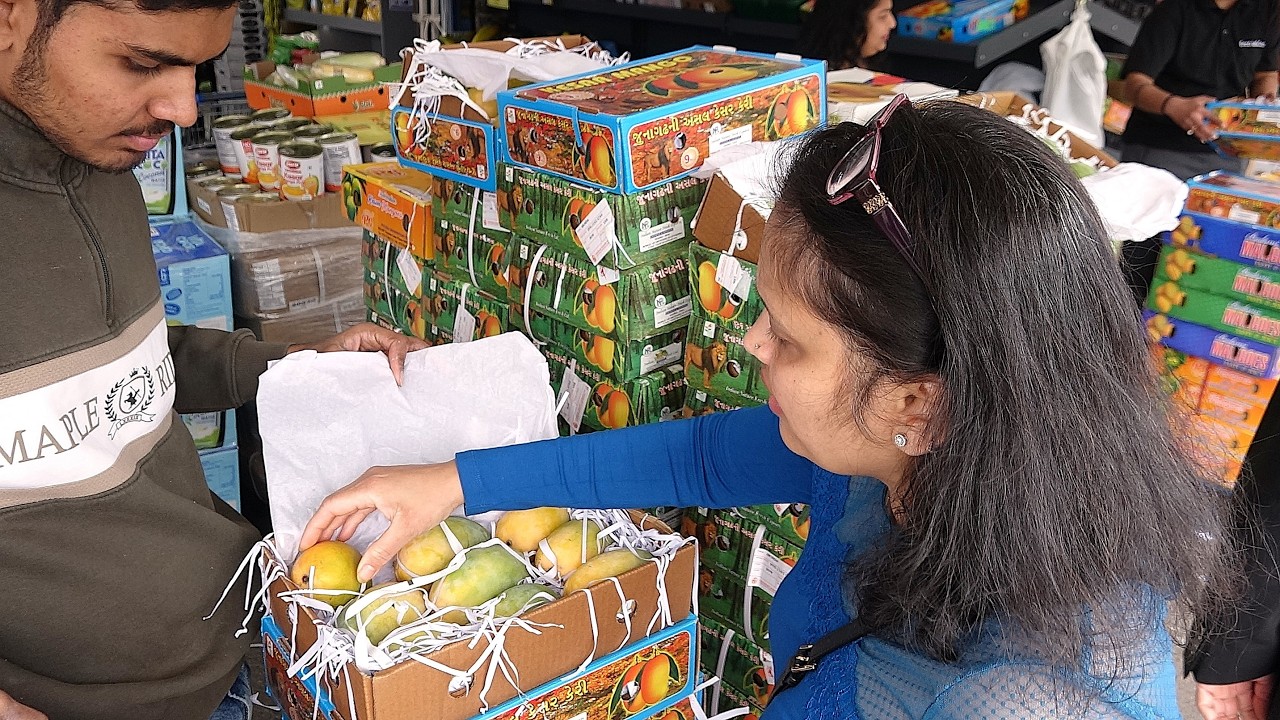🥭 Alphonso Mangos | Kesar Mangos | Rajapuri | Badami | Sold by the Indian Mango Masters of London 🇬🇧