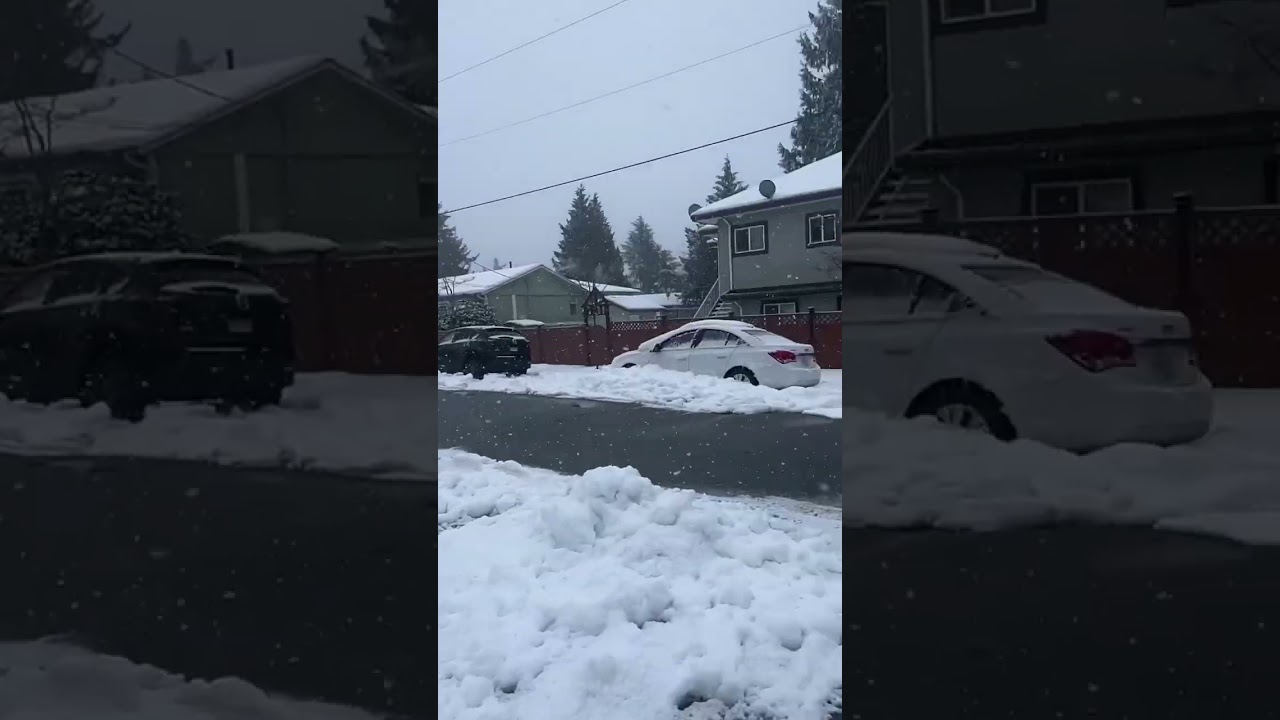 Snow🇨🇦❄️❤️|surrey|bc|canada #surrey #bc #canada #snowfall #famousshorts #love #winter