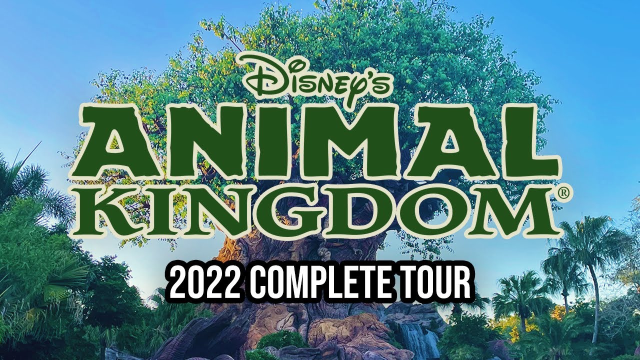 Disney's Animal Kingdom - 2022 Walkthrough with Ride POVs