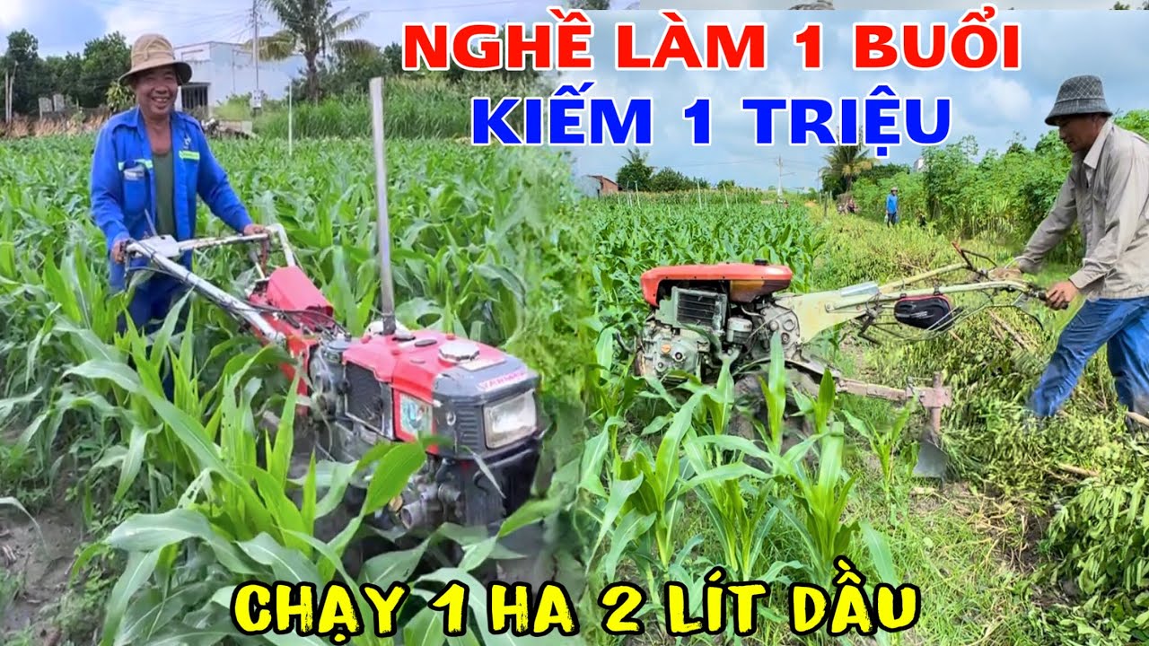 Nghề chăm sóc hái ra tiền chạy buổi kiếm 1 triệu như chơi