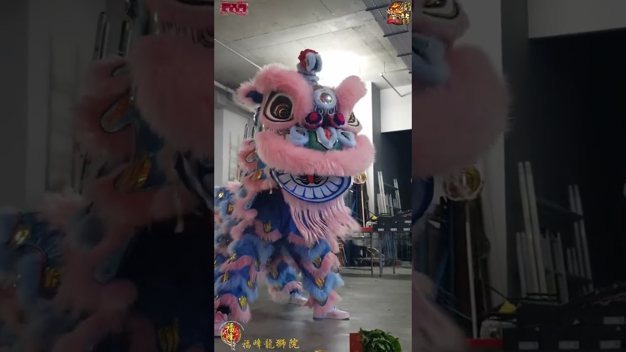 2026 Singapore 灵山闗忠壇 福峰龍獅院