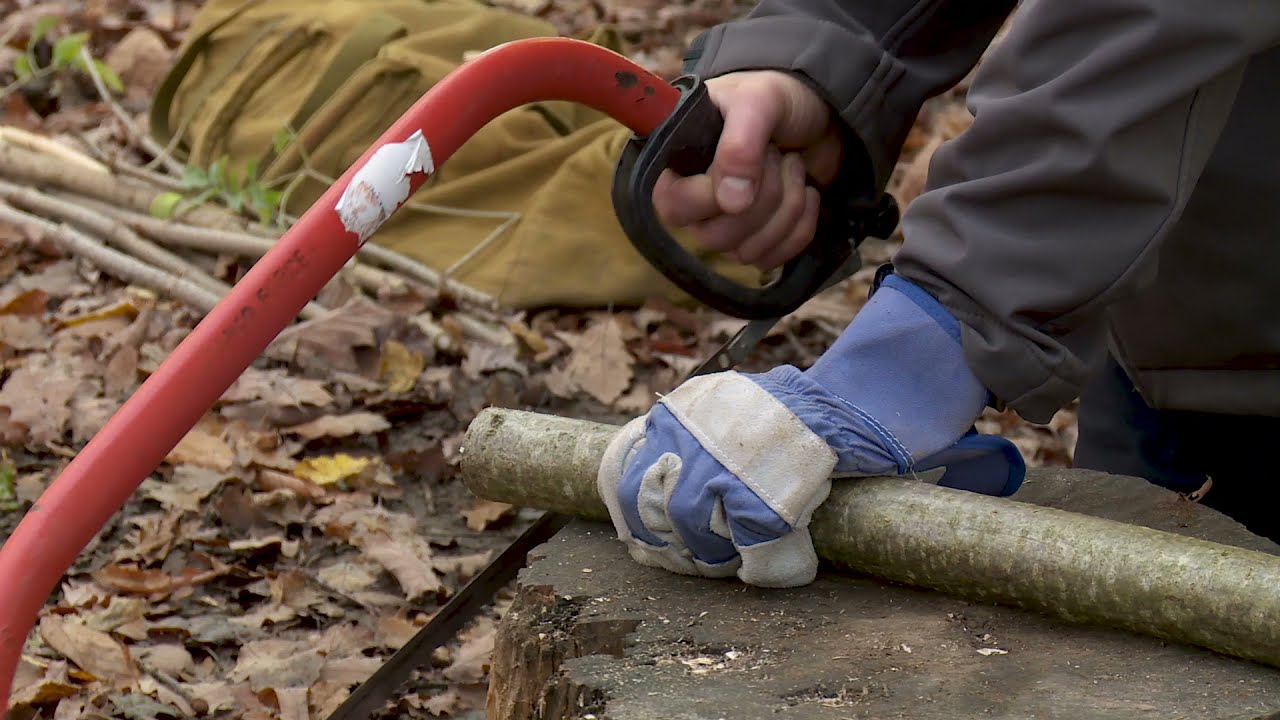 Forest School Skills - Using a Bow Saw