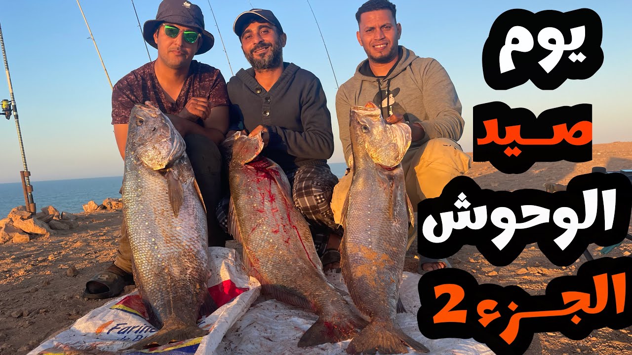 مغامرة:مثيرة‼️وصراع شرس مع أسماك الكوربين🔥من مرتفعات الصحراء🇲🇦.