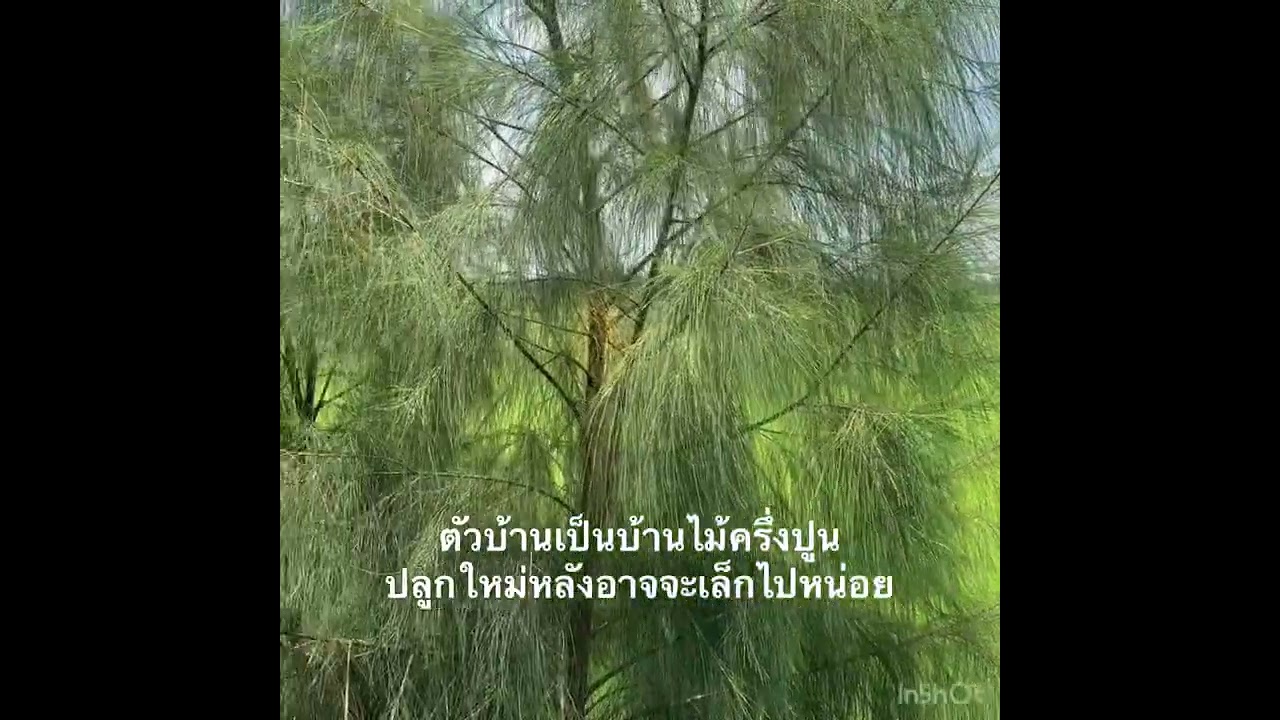 บ้านสวนวิวเขาติดคลองชลประทานน้ำไฟเพื่อนบ้านและรั้วมีพร้อมเนื้อที่300ตรว.เขาชะงุ้มอ.โพธารามจ.ราชบุรี