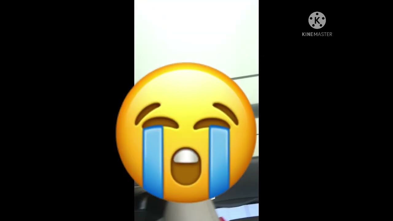 Going to the book fair *fail*