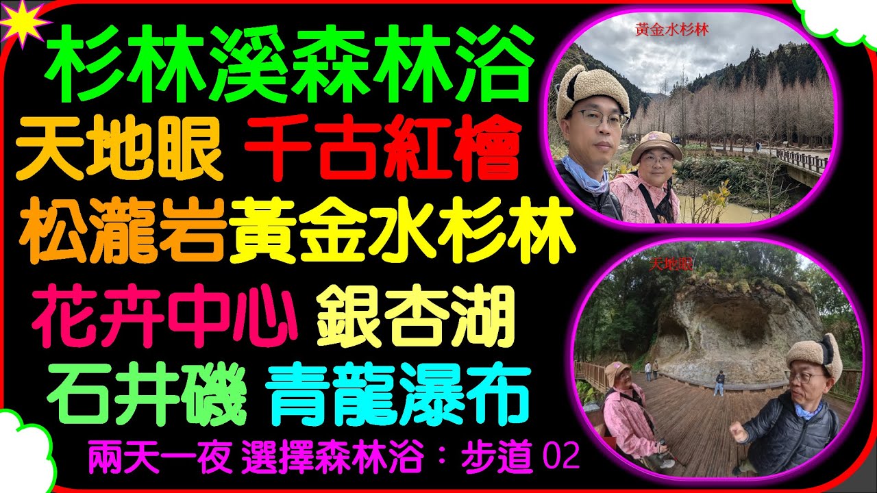步道02 20260109 0110兩天一夜杉林溪森林生態渡假園區 森林浴健行步道 負離子 芬多精 天地眼 千古紅檜 松瀧岩 松瀧瀑布 玖玖吊橋 黃金水杉林  落羽松 櫻花 銀杏湖 青龍瀑布 石井磯