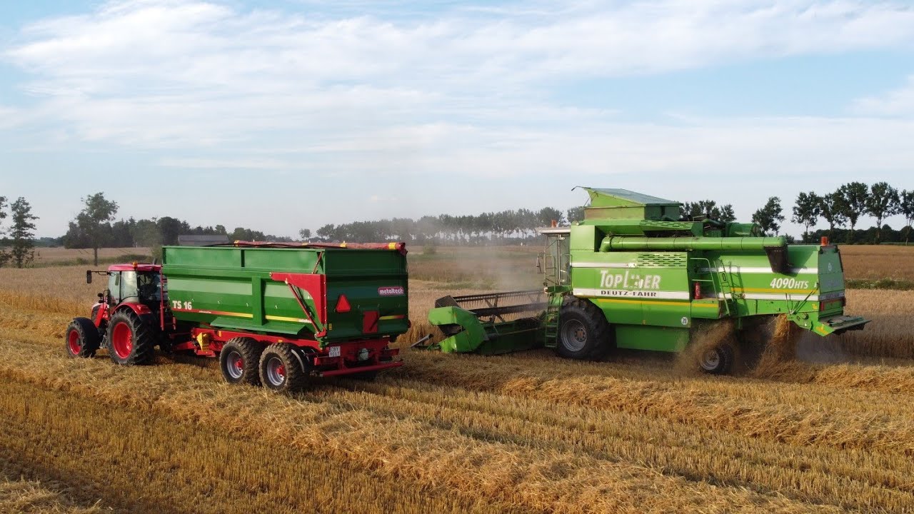 Żniwa jęczmienne 2024 🌾👨‍🌾 Deutz-Fahr TopLiner 4090 HTS | Zetor | Case IH Farmall | Metal-tech TS 16