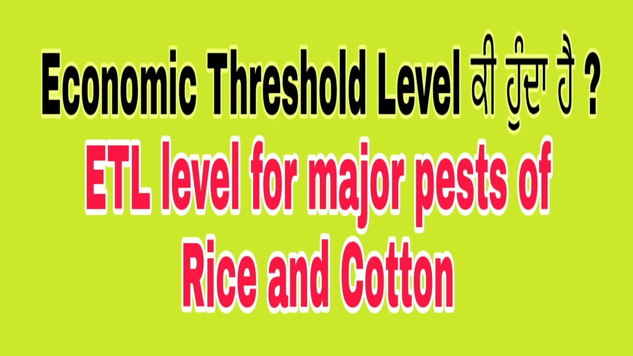 Economic Threshold Level of Pests || ETL of Major Pests Of Rice and Cotton ||
