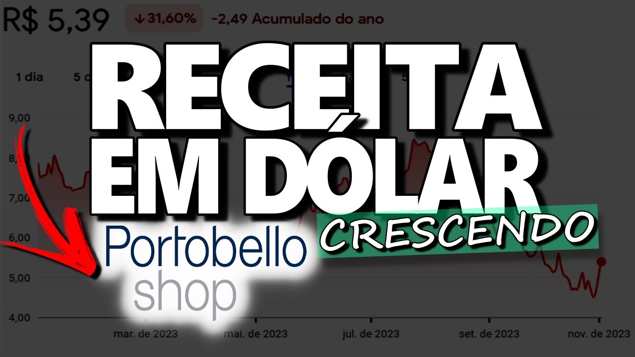 PTBL3: RECEITA EM DÓLAR, DIVIDENDOS E MARKET SHARE. VALE A PENA INVESTIR EM PORTOBELLO?