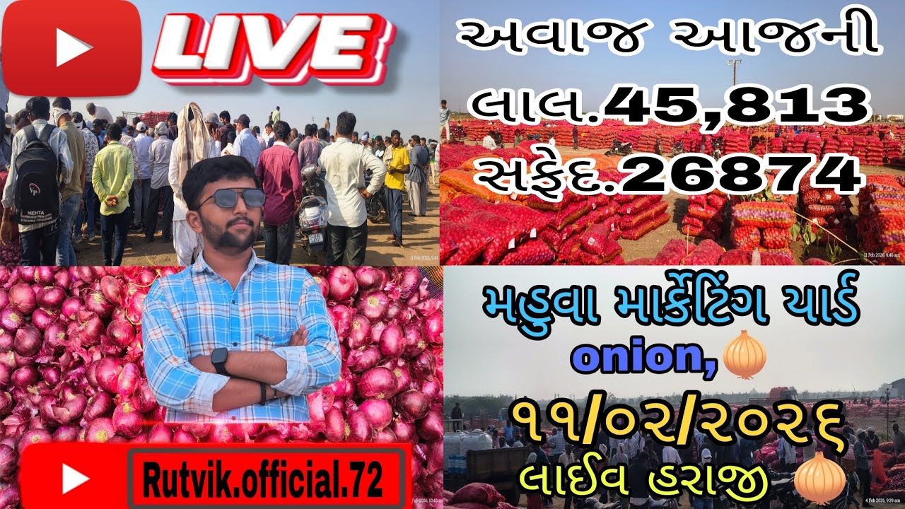 બુધવાર ના તાજા બજાર ભાવ મહુવા યાર્ડ || APMC MAHUVA|| प्याज भाव महुवा मंडी| ૧૧/૦૨/૨૦૨૬ || 