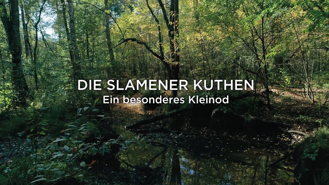 Die Slamener Kuthen - ein besonderes Kleinod - Weg zur Ausweisung als NSG
