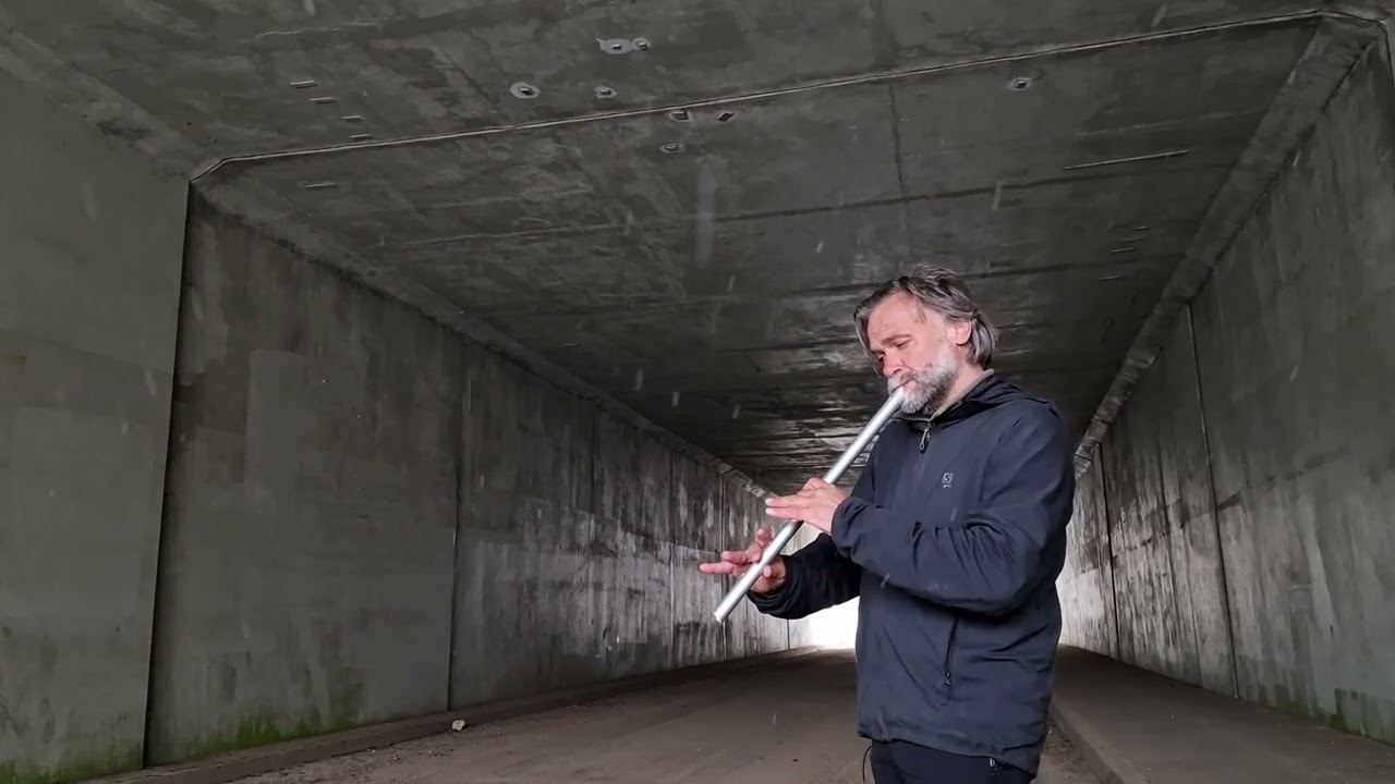 quenacho Checho C oraz whistle MK Pro low D