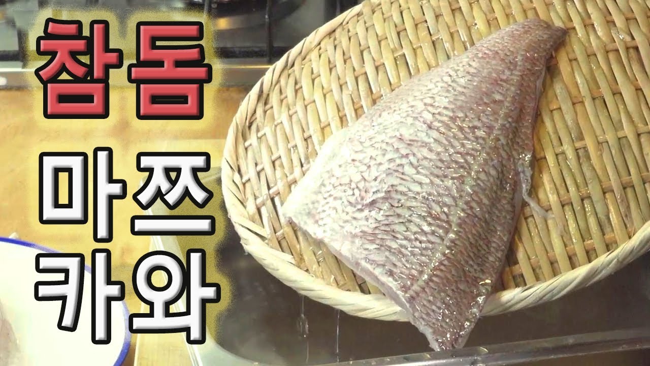참돔 마쯔카와 완전정복!! 쫄깃한 식감을 위한 최고의 방법!!