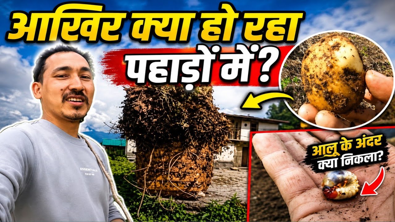 Exploring Nature & Village | LifePeaceful Travel Vlog “गाँव का रूटीन 🌾| इन दिनों हर कोई व्यस्त है!”