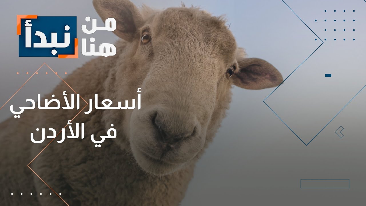 أسعار الأضاحي في الأردن وأسباب العزوف عن الأضاحي