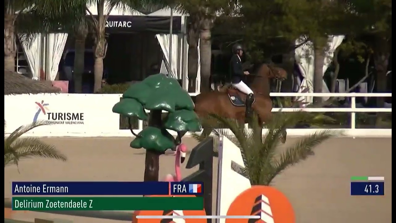 Delirium Zoetendaele Z - MET Oliva - CSI 3* 1.50m