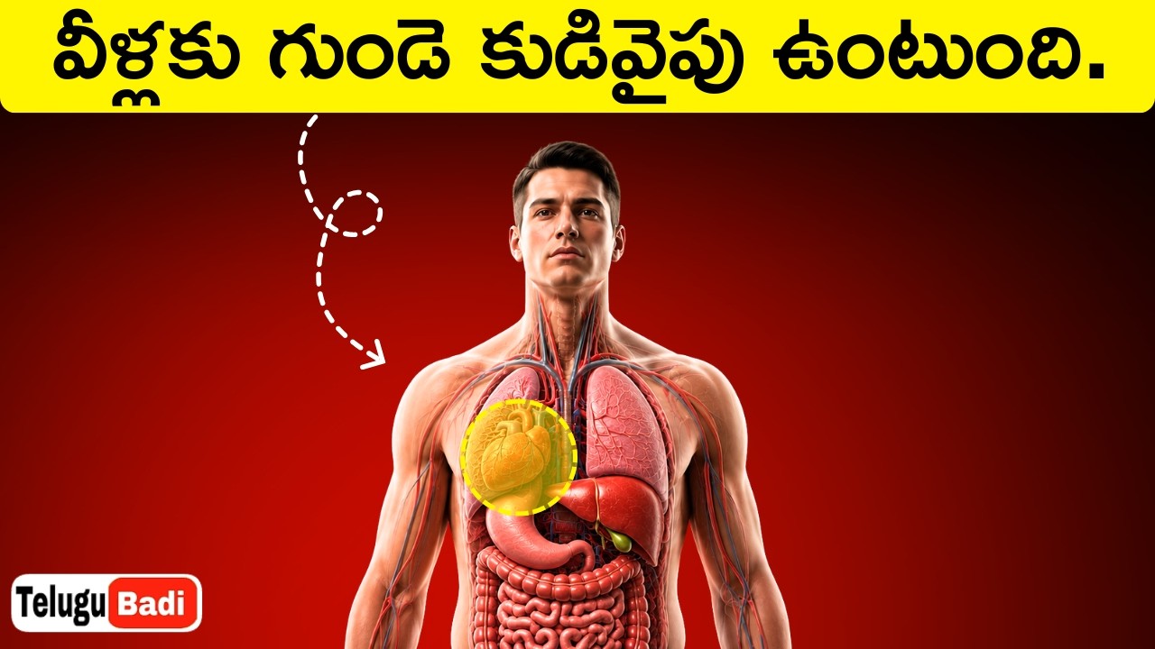 Heart on the Right Side? Top Interesting Facts in Telugu Badi