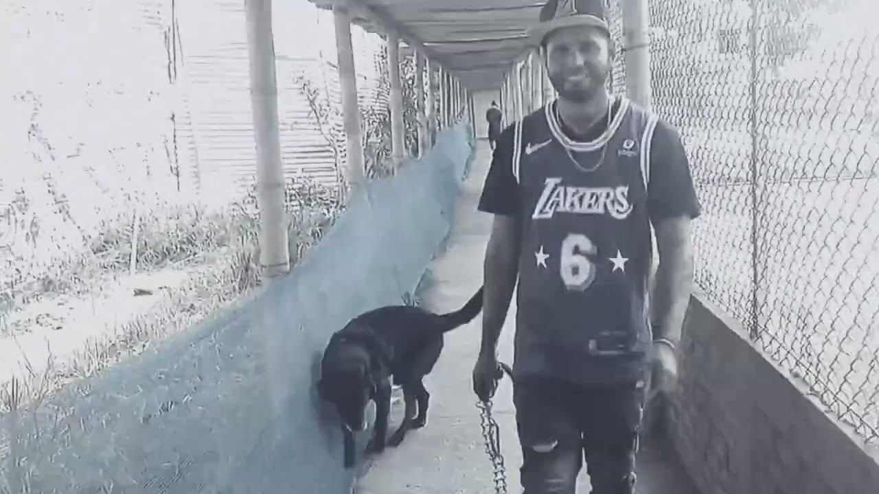 SEGUETA (Tributo para Arcangel) | Visualizer | 