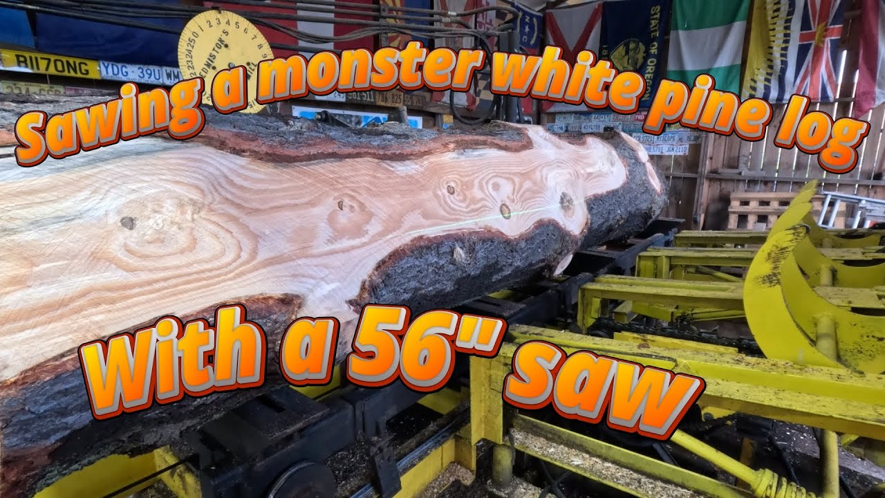 Sawing a massive white pine log # 748