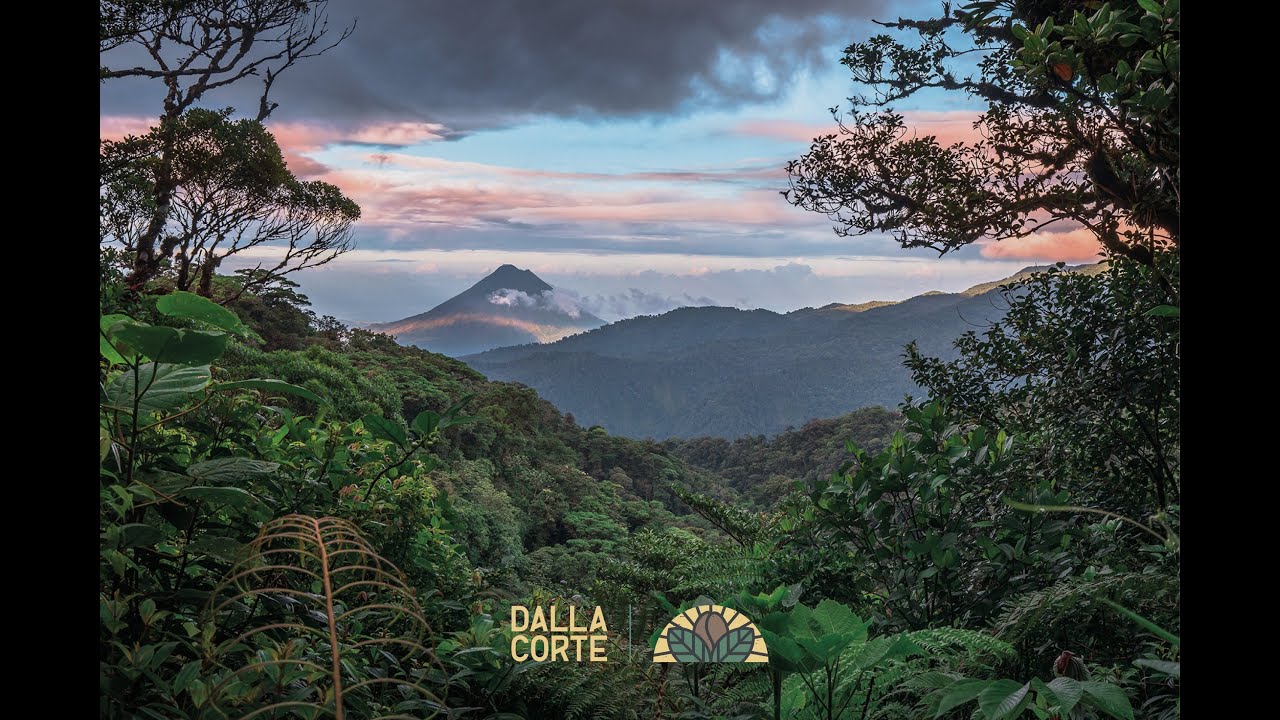 DC Campus 2024 - Costa Rica