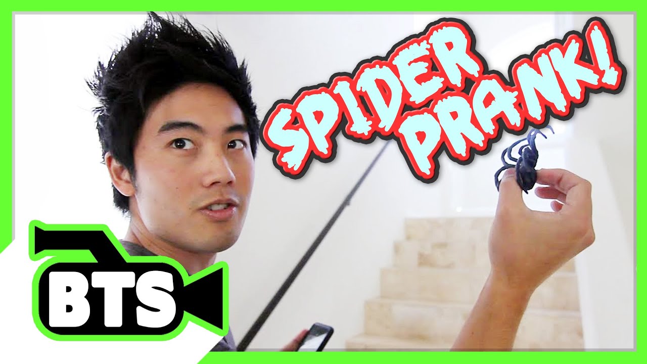 Spider Prank! (BTS)