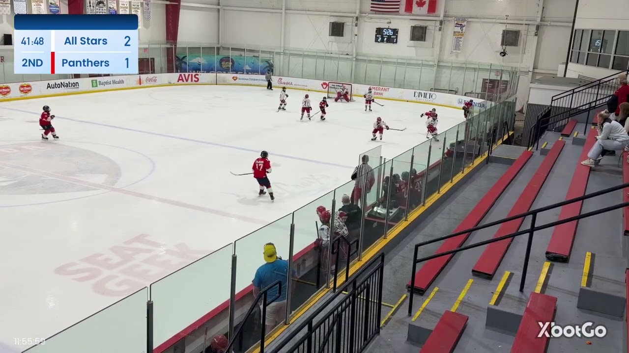 All Stars vs Panthers Part 2