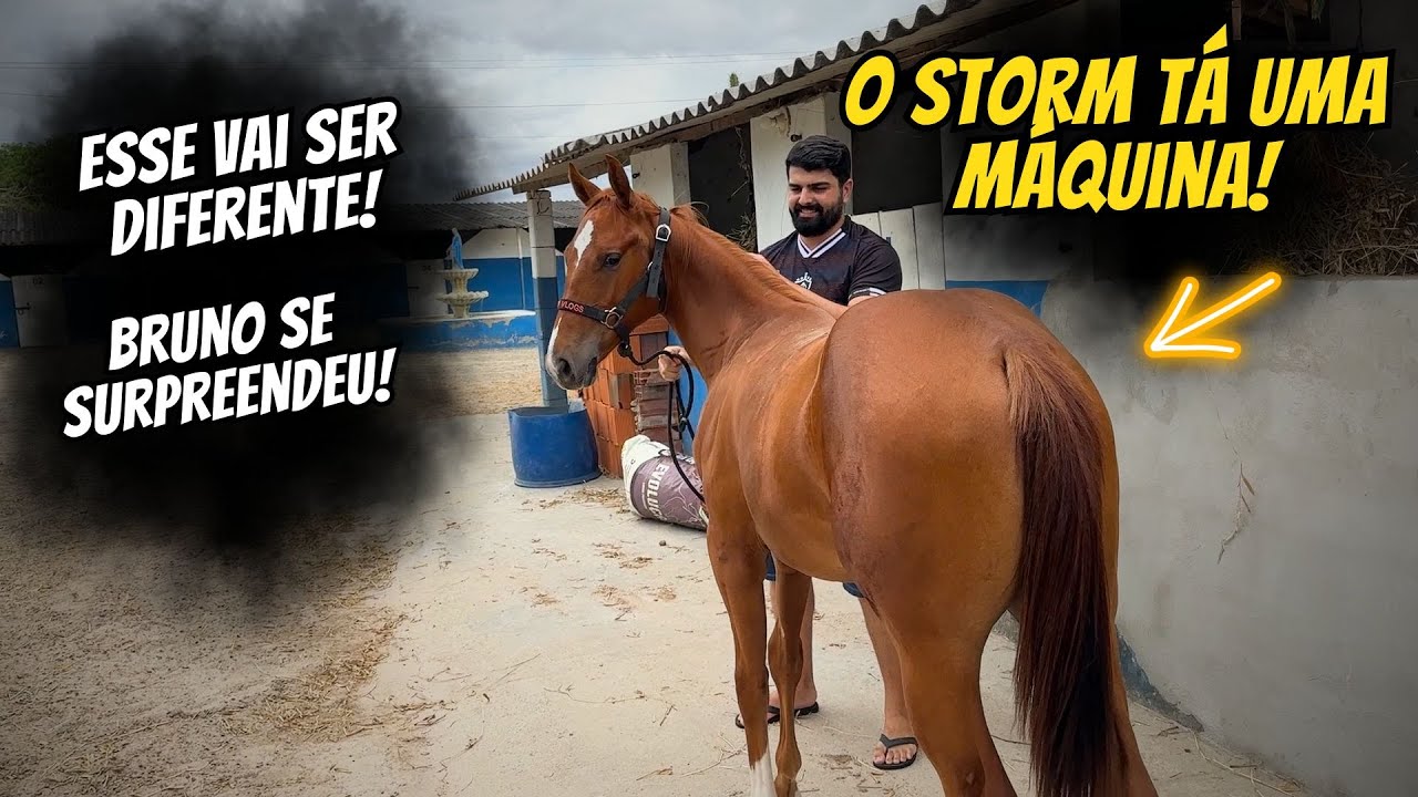 SURPRESA NO CANAL! STORM HOLLAND APOLLO SURPREENDEU BRUNO