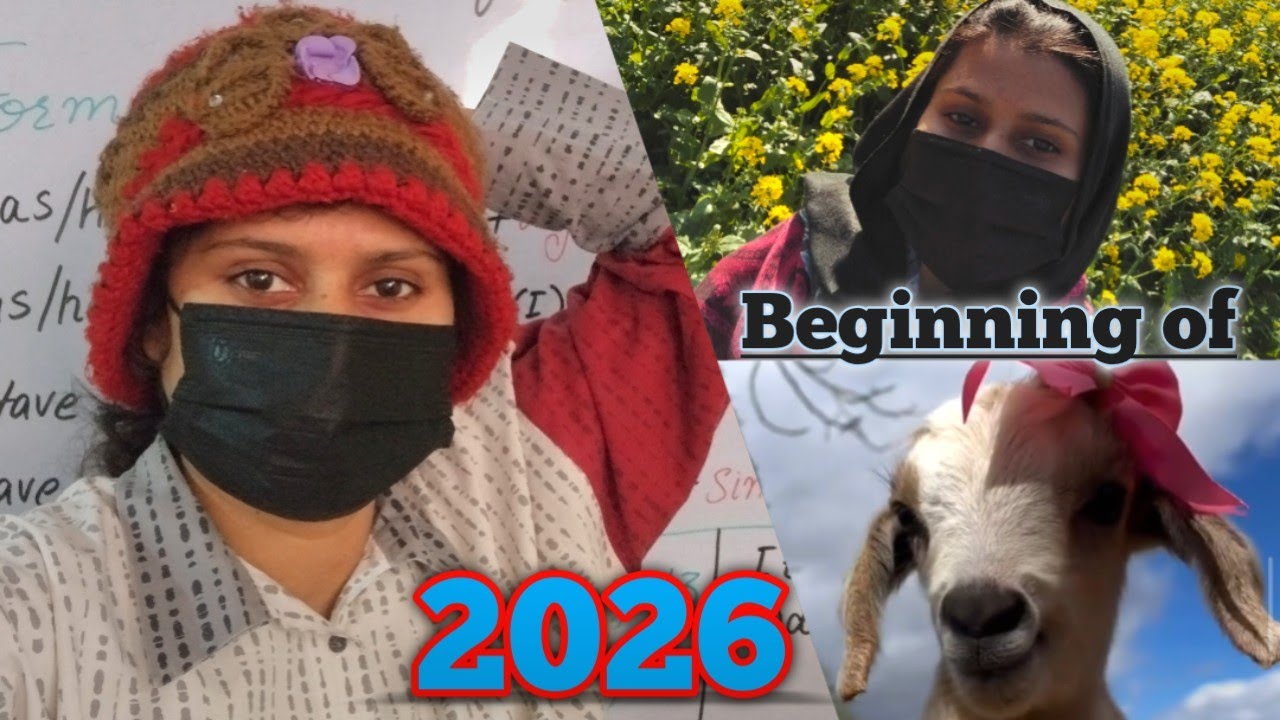 Planning for new year🎊🕛 | Armish Khan Vlogs 